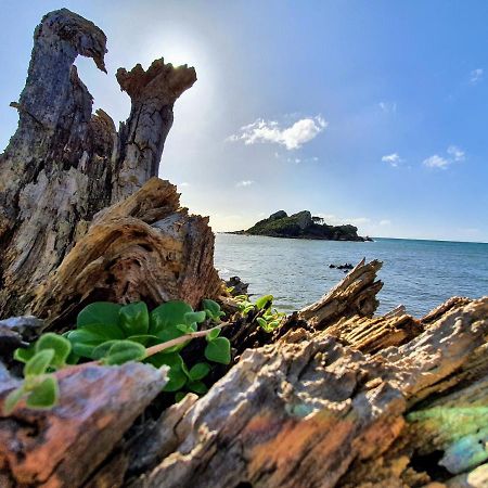 Goat Island Bungalow อัลเวอร์สโตน ภายนอก รูปภาพ
