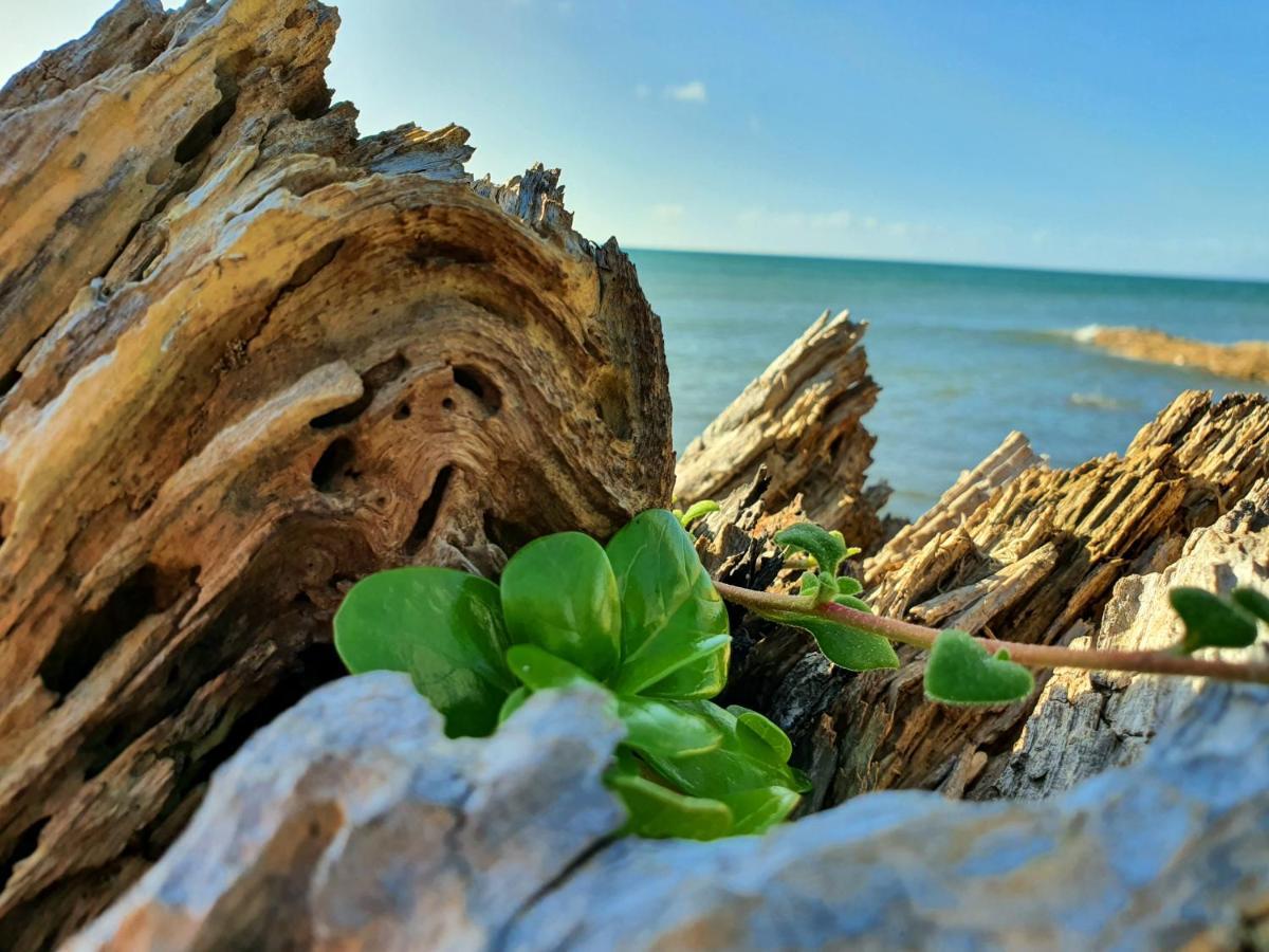 Goat Island Bungalow อัลเวอร์สโตน ภายนอก รูปภาพ
